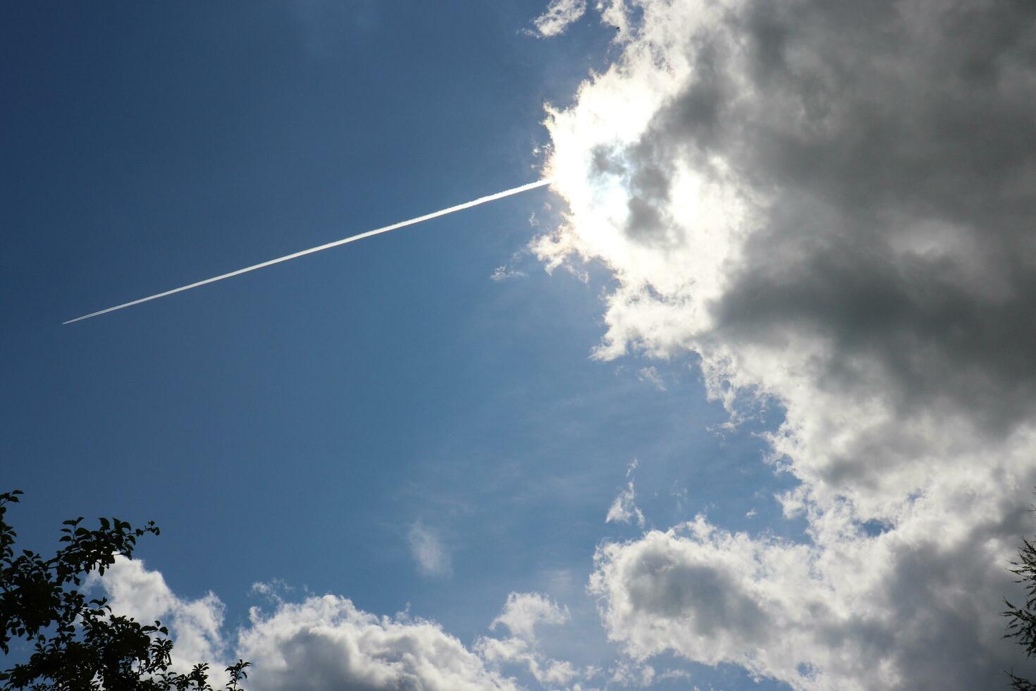 a rain cloud in the blue sky that hid the sun. a ray from a thundercloud, a trail from an airplane over the tops of trees - a horizontal photo close-up, view from below