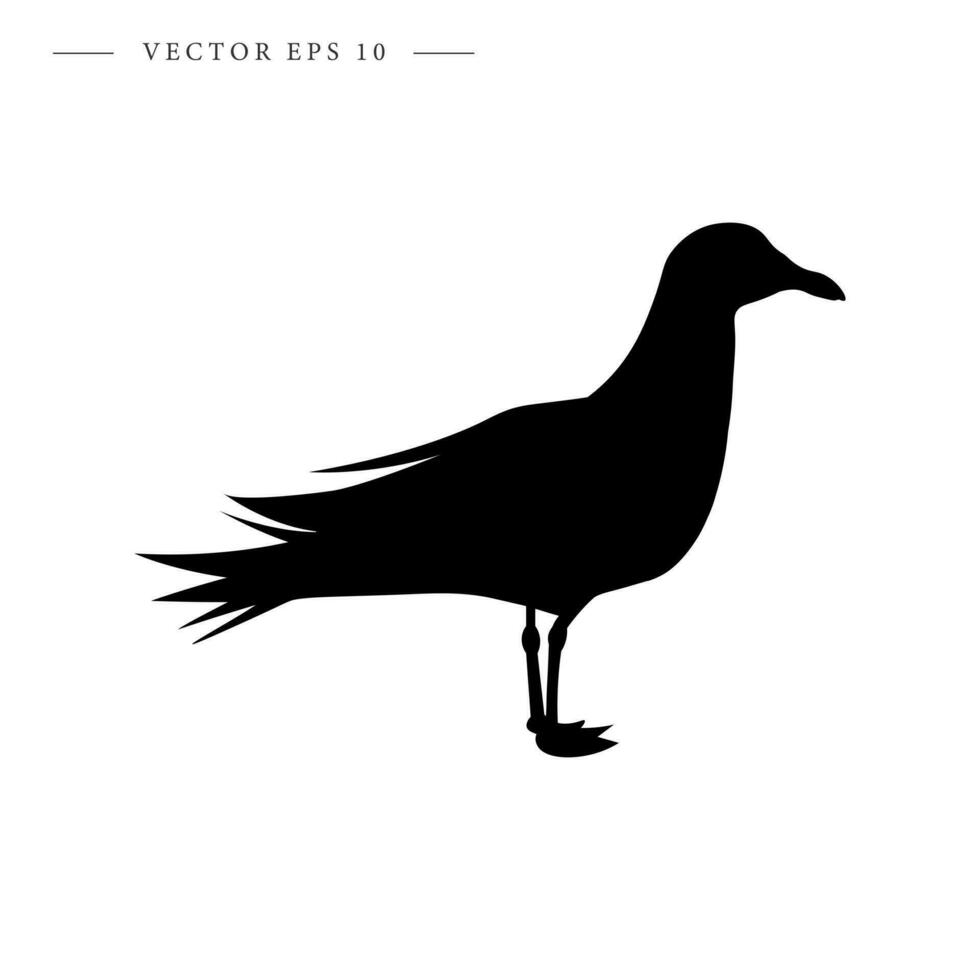 Seagull icon. Isolated vector illustration.