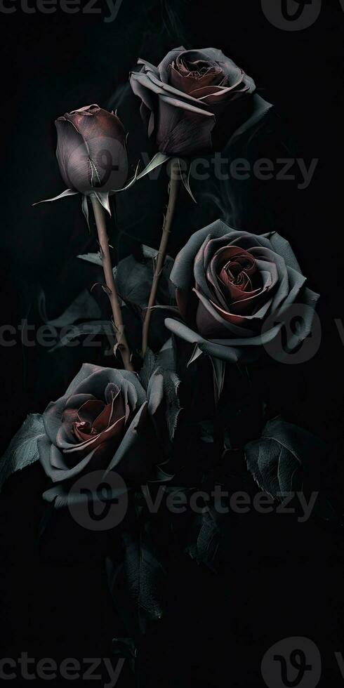 Spellbinding closeup portrait of roses, eternal melancholy, AI Generated photo