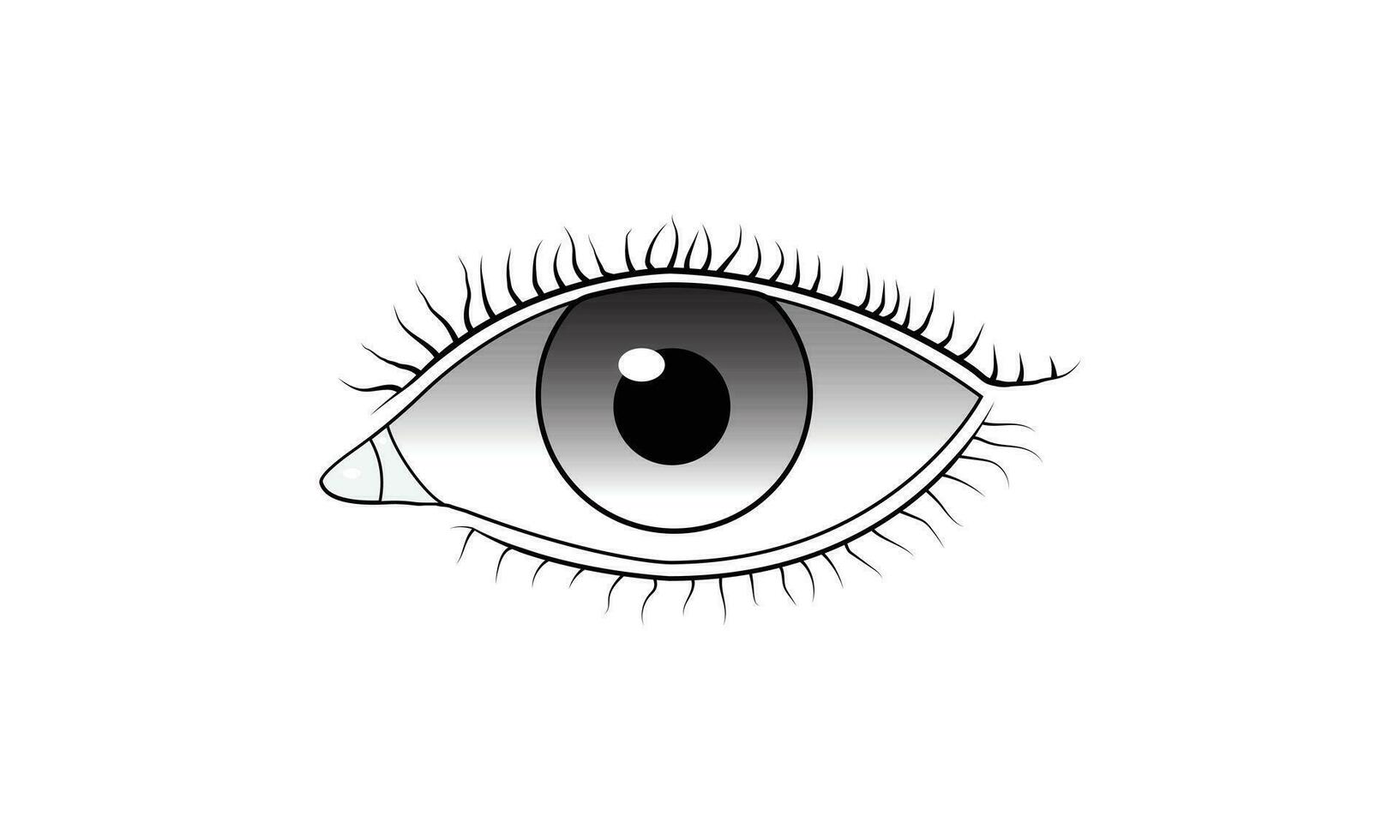 humano ojo ilustración vector