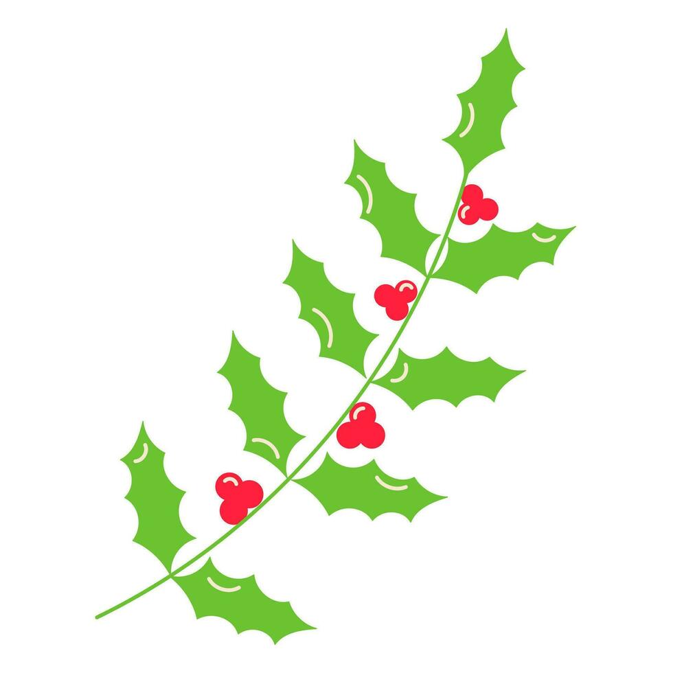 holly christmas branches leaves berries fruit icon vector