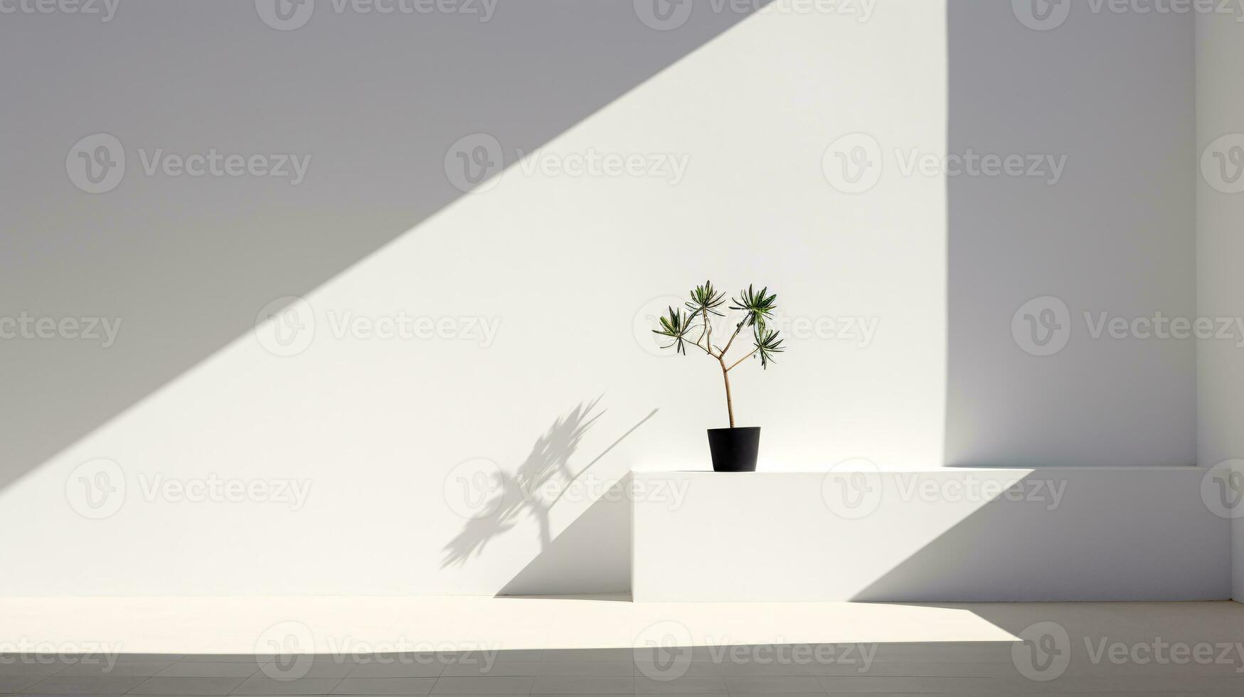The essence of minimalism illuminated by natural light highlighting the power of simplicity and negative space AI Generative photo