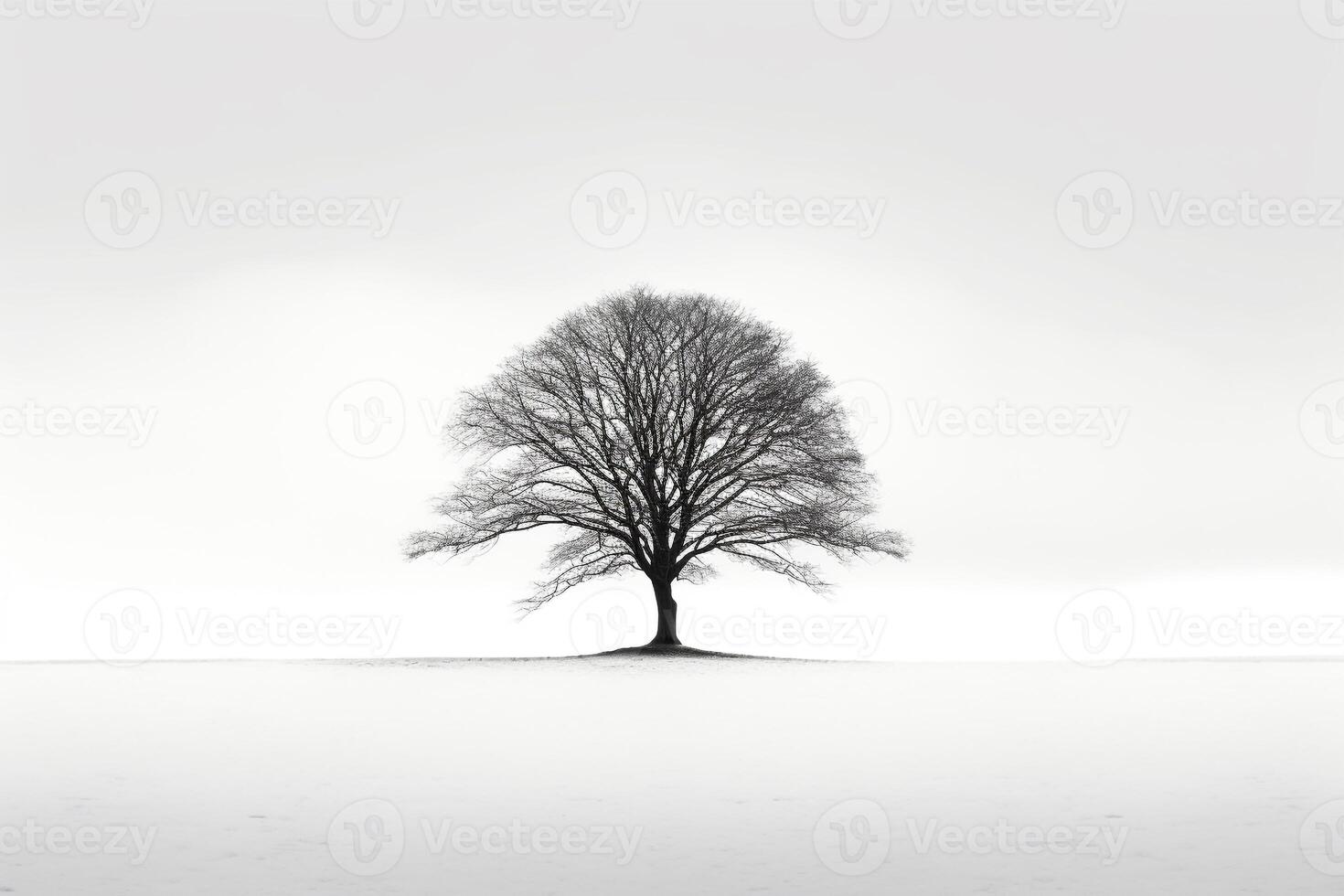 Lone tree casting shadows against stark white background AI Generative photo