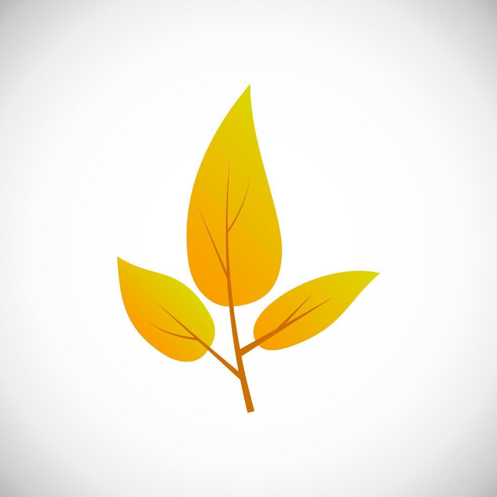 Yellow leaf. Autumn leaf of a tree on a white background. Vector illustration