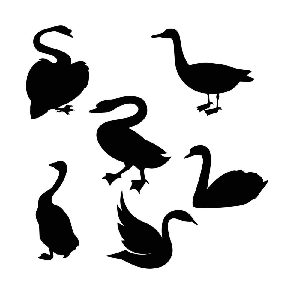 Swans vector silhouette.