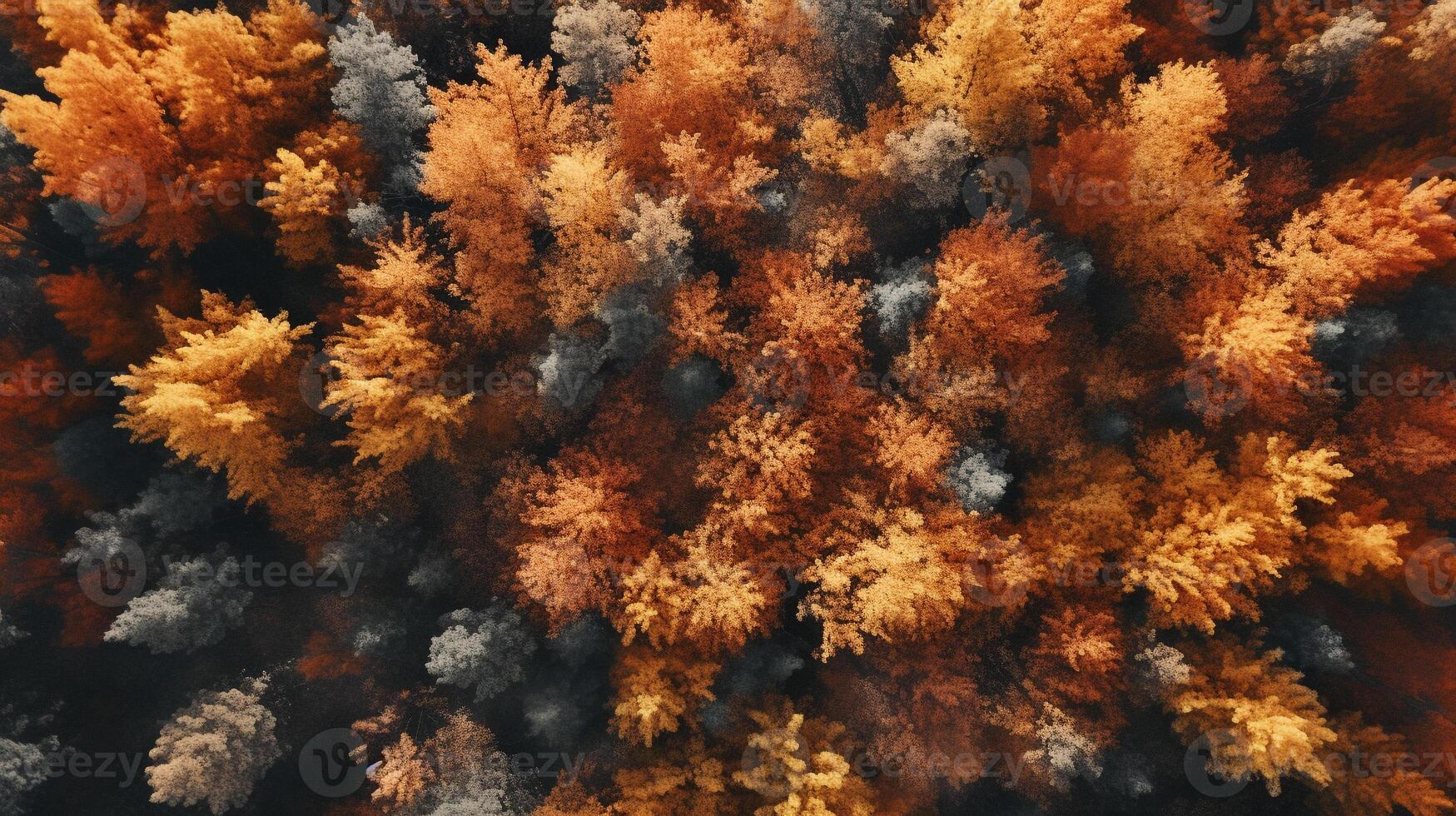Aerial view of an enchanting autumn forest with vibrant hues of orange, red, and gold photo