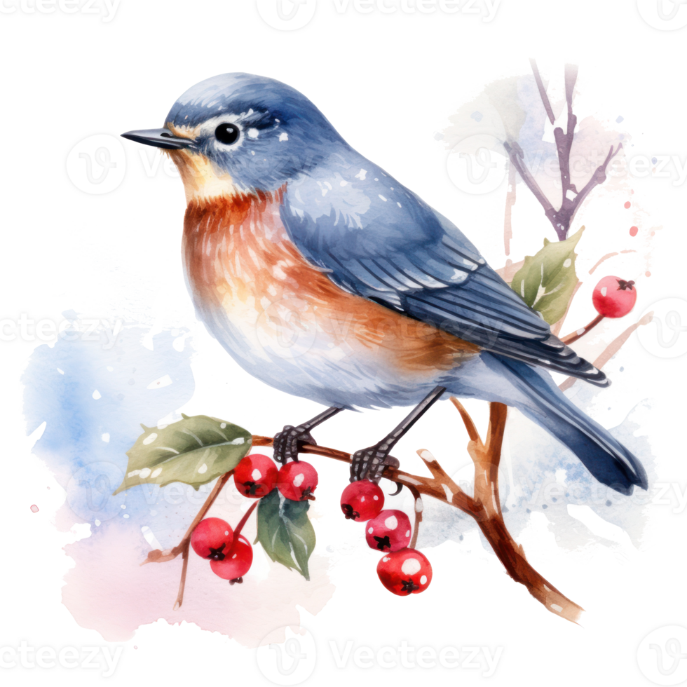 A bird sitting on a branch with red berries below it png