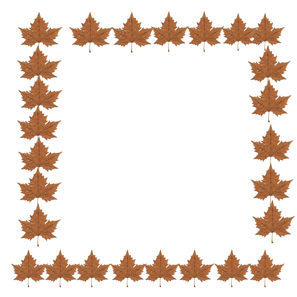 Simple Frame Border PNG transparent background