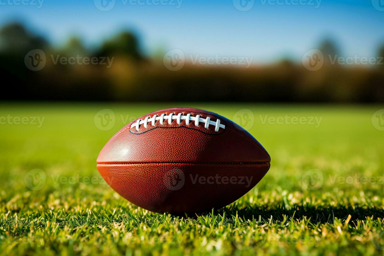 An American football is on the field photo