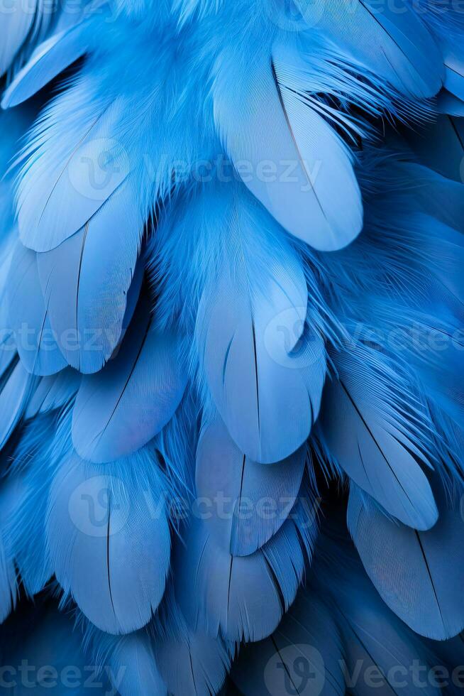 Macro Of Bird Feathers - Blue by Zen Rial