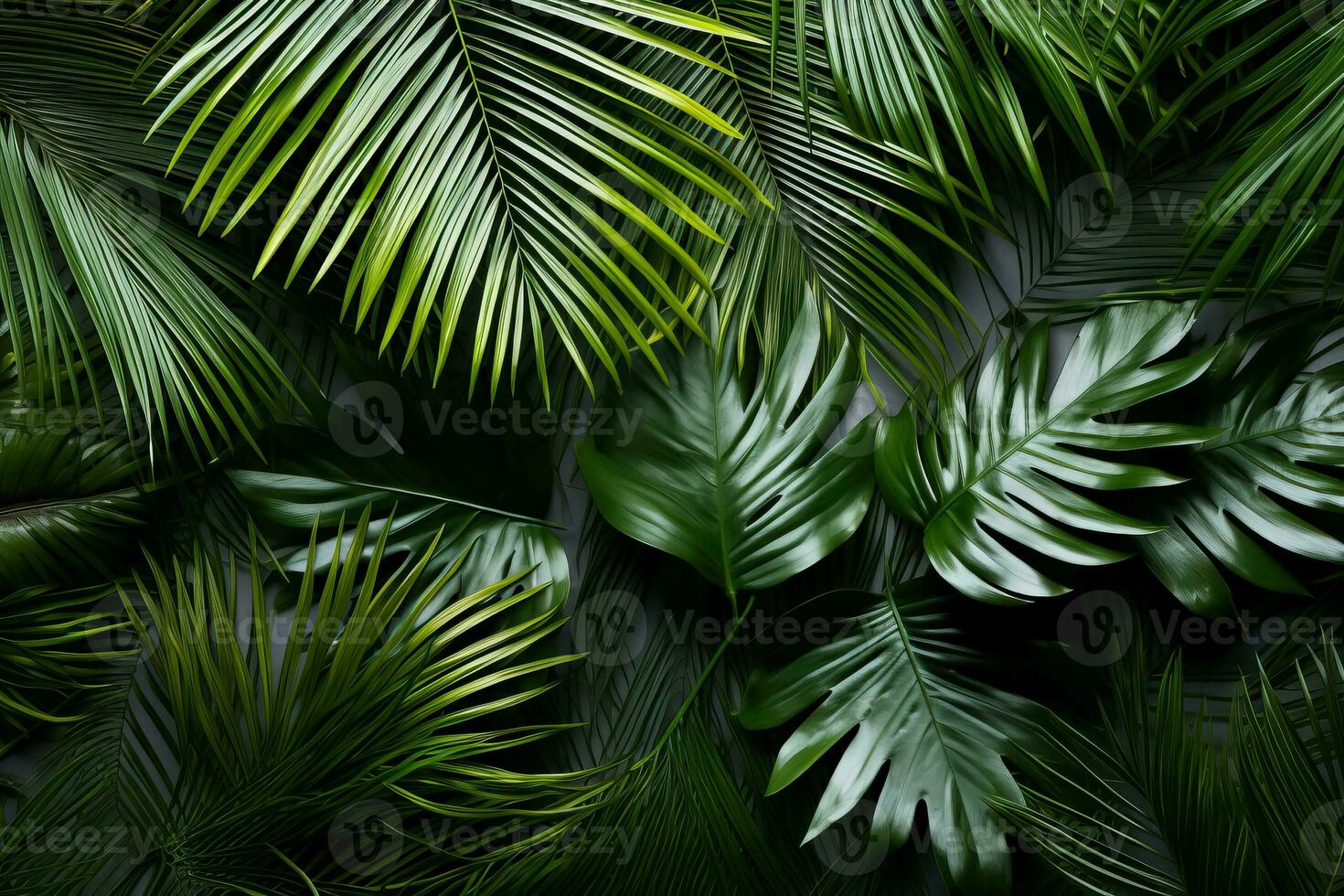 Palm tree leaves create a texture overlay surrounded by fresh green tropical plants on a white background photo