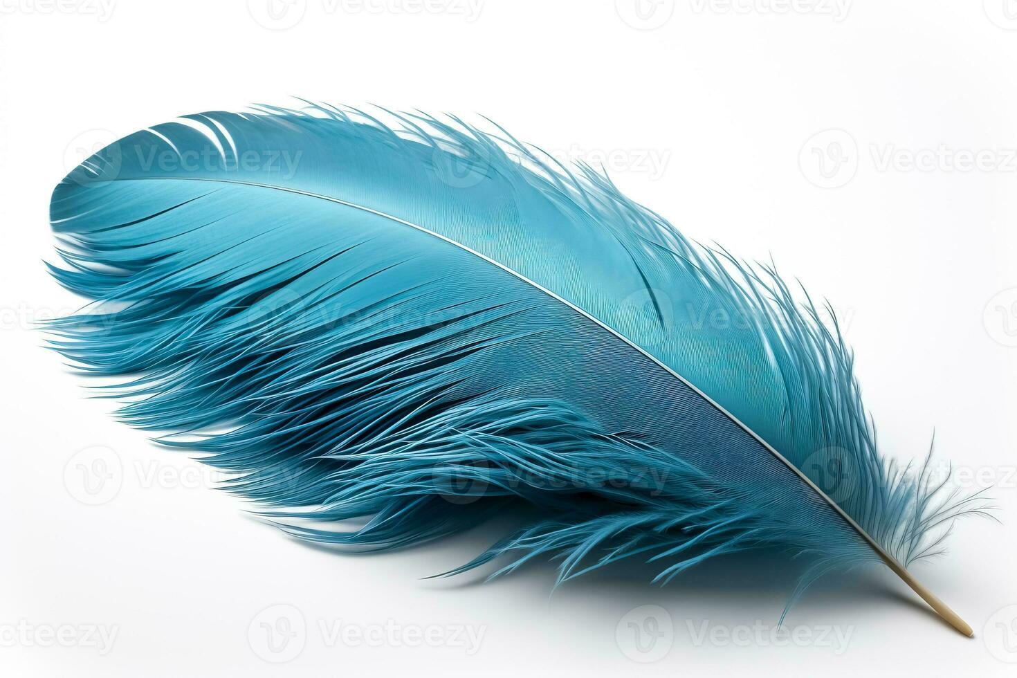Blue feather isolated on white background 28560647 Stock Photo at Vecteezy