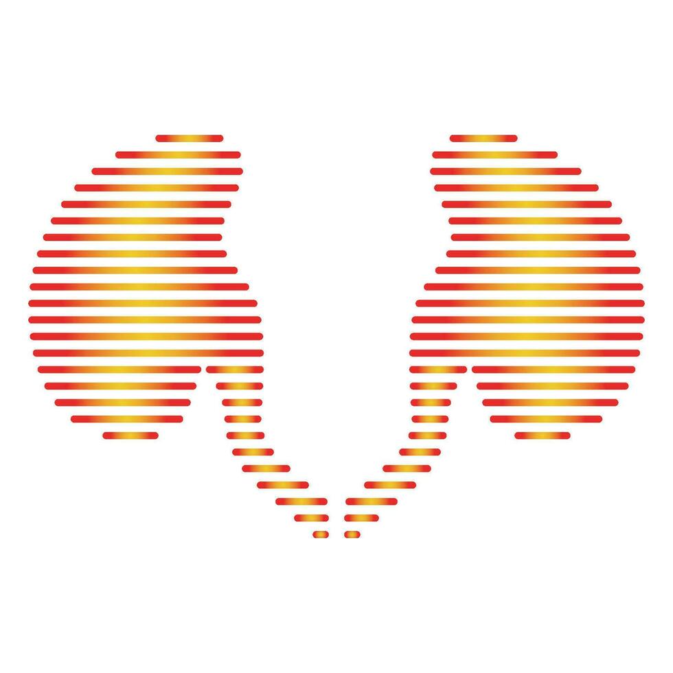 Line shape kidney logo vector