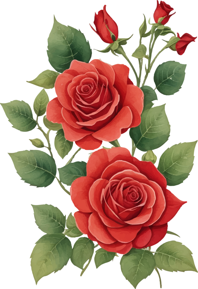 Red Rose Flower Clip Art AI Generative png