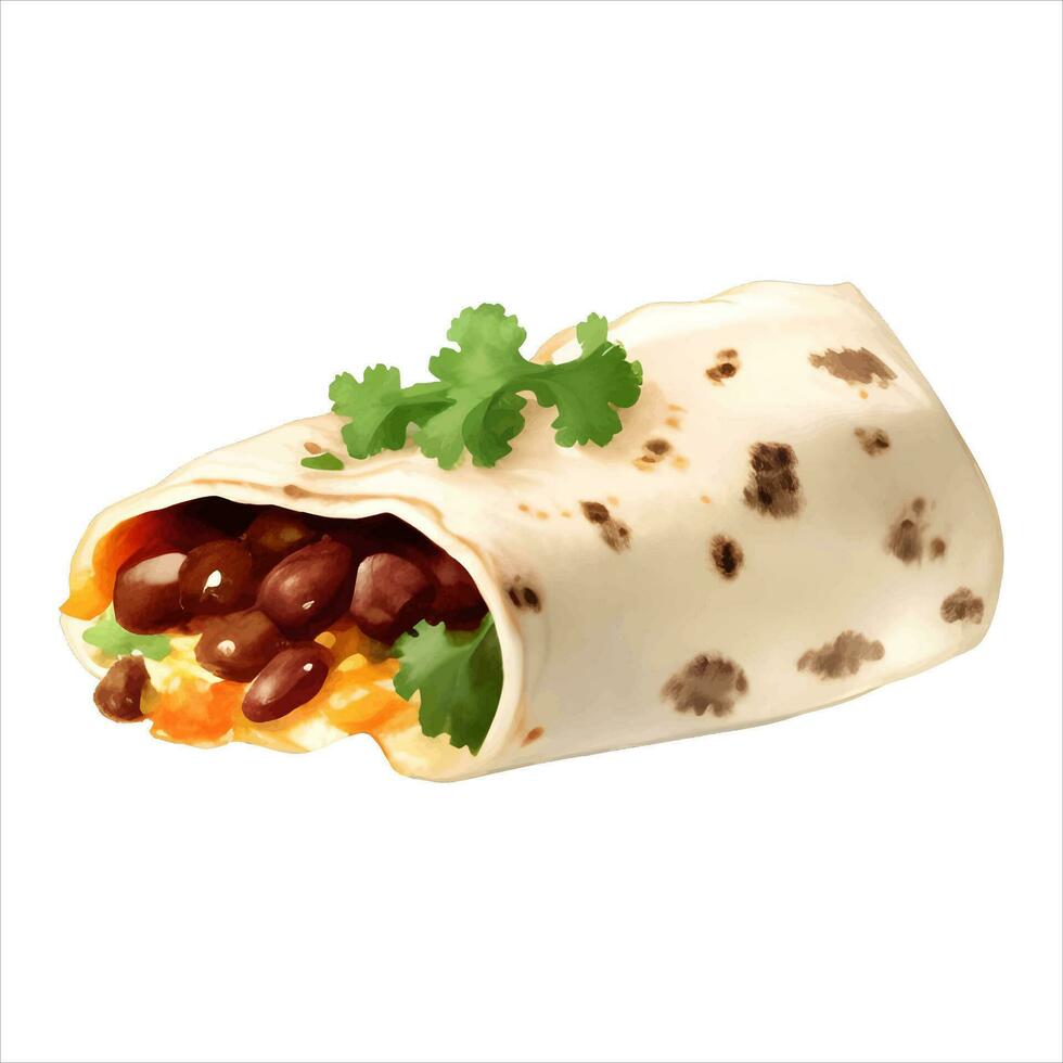 Burrito Tortilla Wrap Isolated Detailed Hand Drawn Realistic Illustration vector