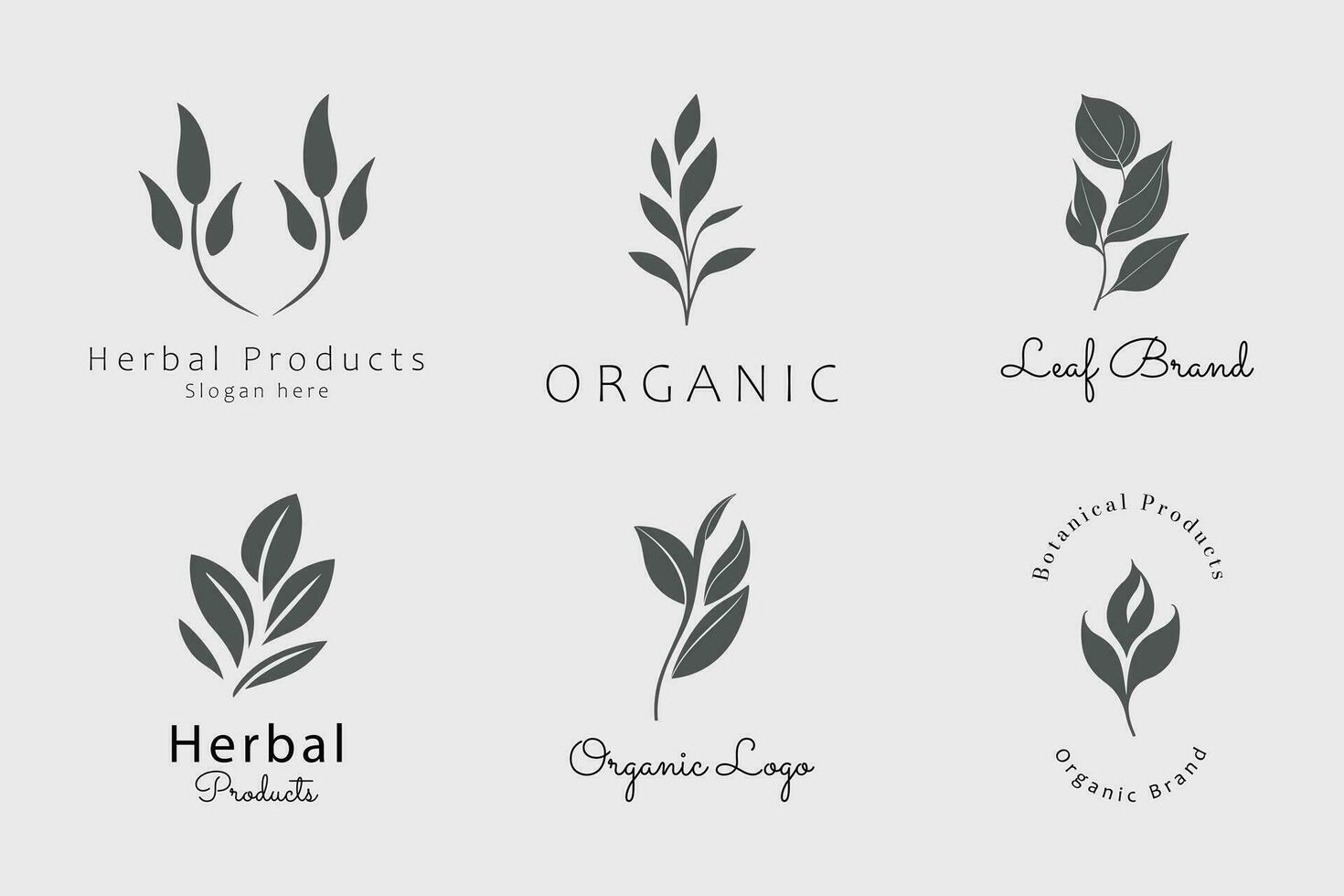Organic Herbal Logo Design vector