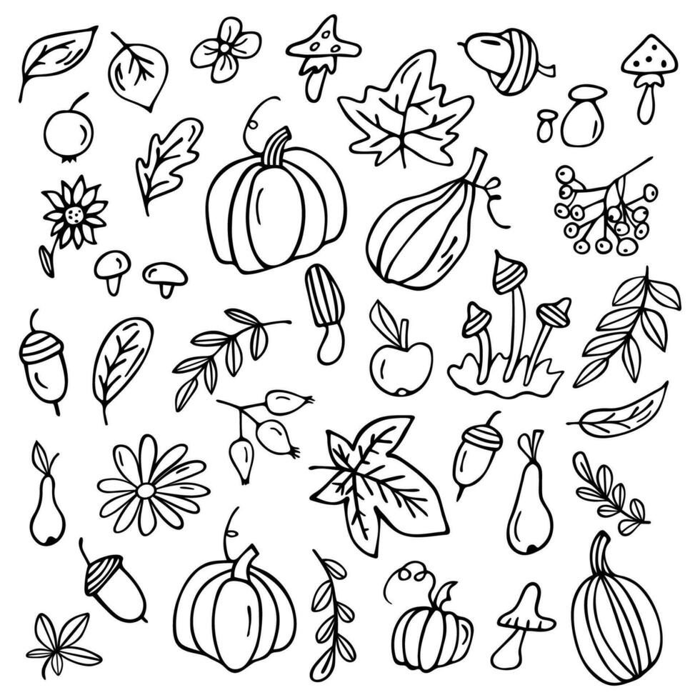 Set of autumn elements. Hand-drawn, sketch. Vector illustration in doodle style.