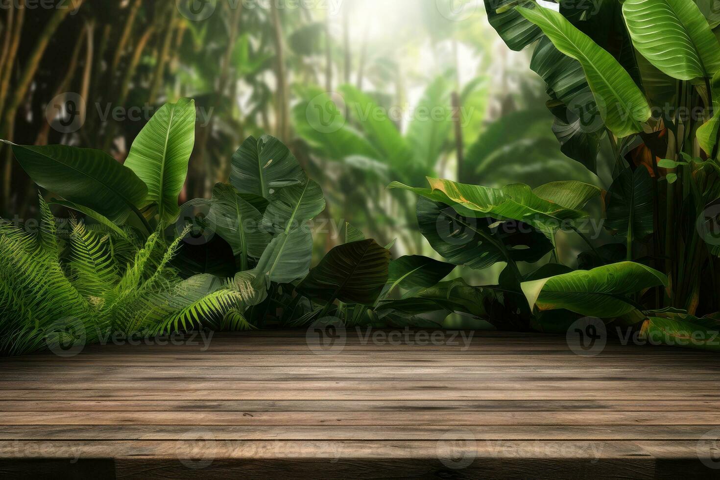 A wooden platform with a large leafy green background photo
