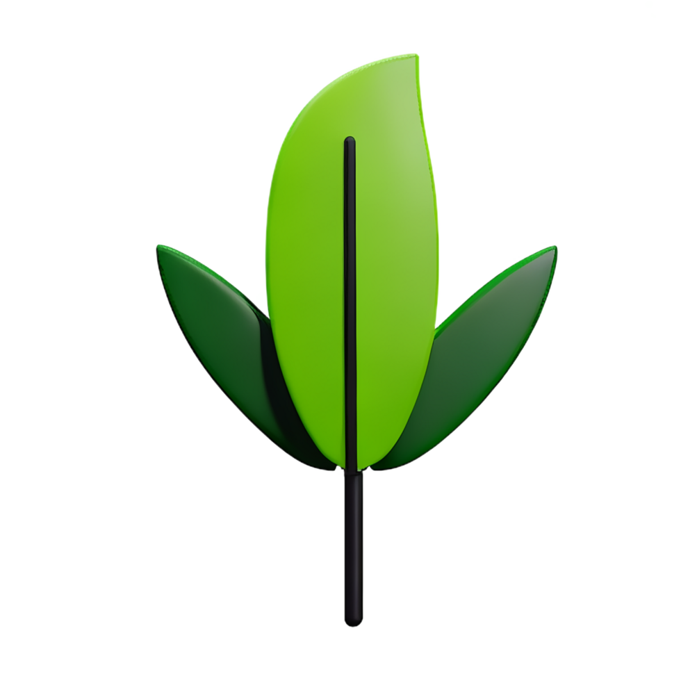 palm leaf 3d rendering icon illustration png