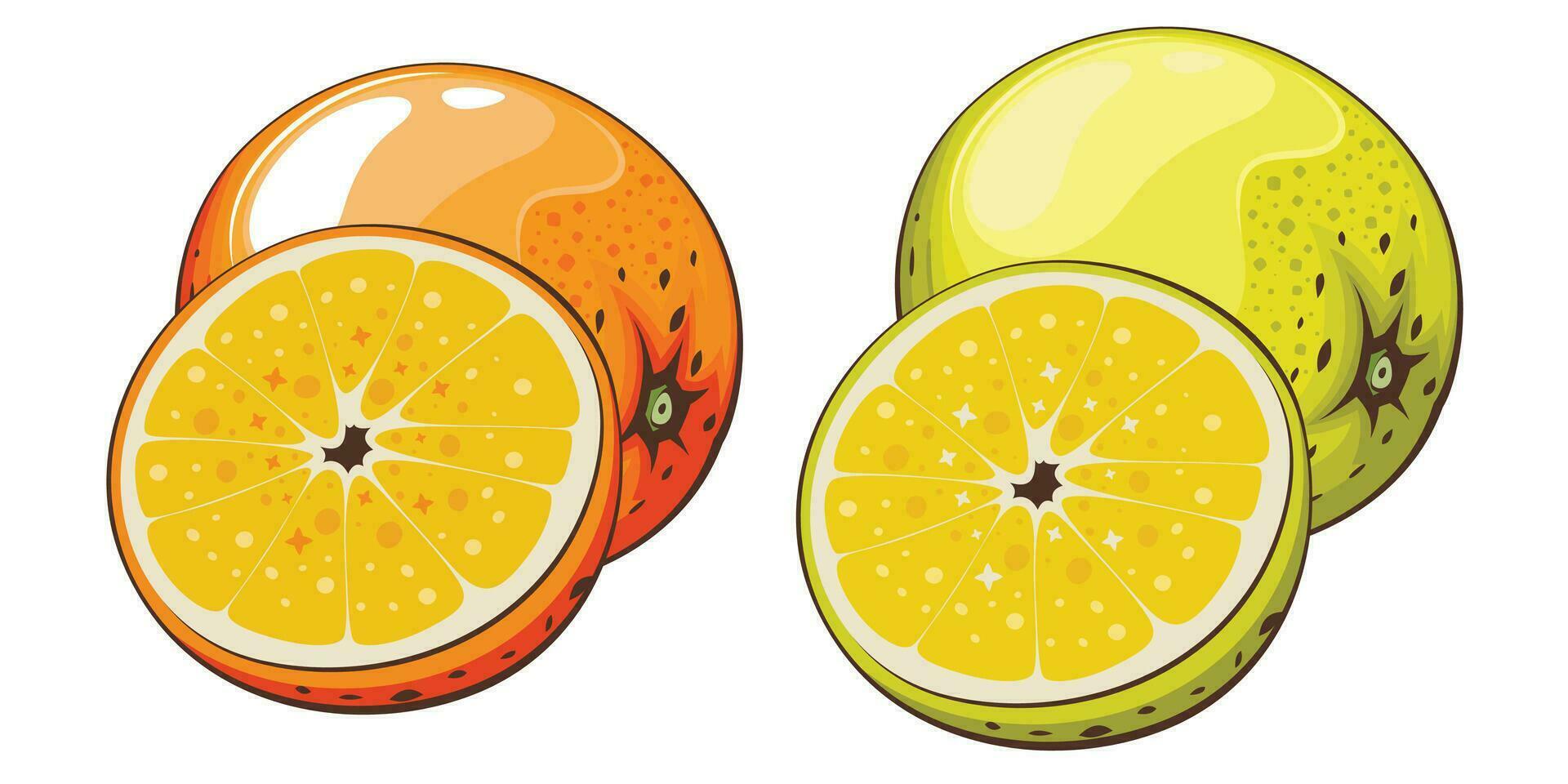 naranja aislado vector ilustración. frutas vistoso ilustraciones aislado en blanco antecedentes. Fruta recopilación.