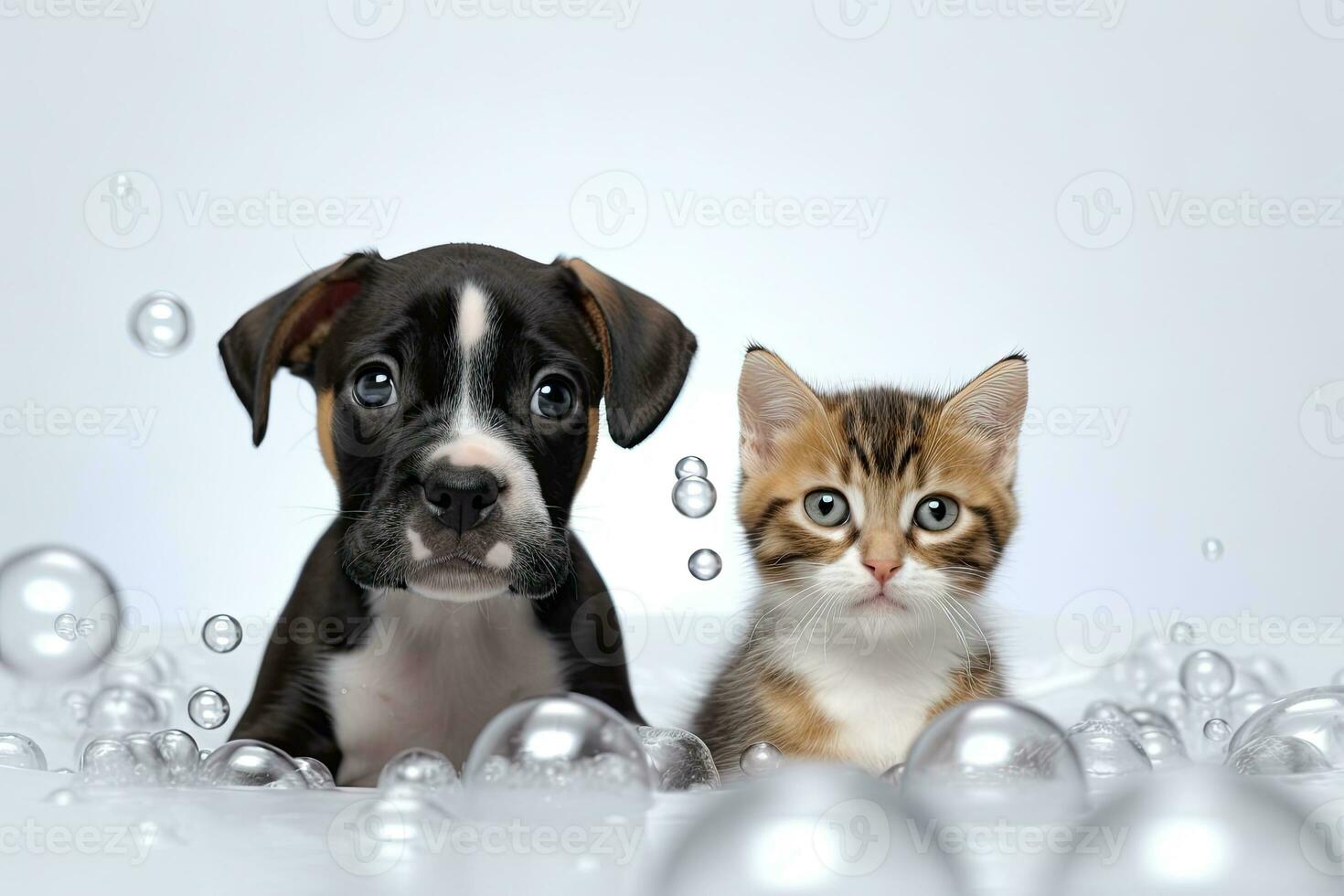 linda bebé gatito y Boxer perrito tomando un burbuja baño, generativo ai foto