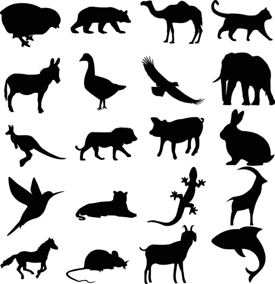 set of animal silhouettes. Different Poses. Zoo, Wildlife, Sea Life, Micro World. Almost Each Kind of Fauna vector