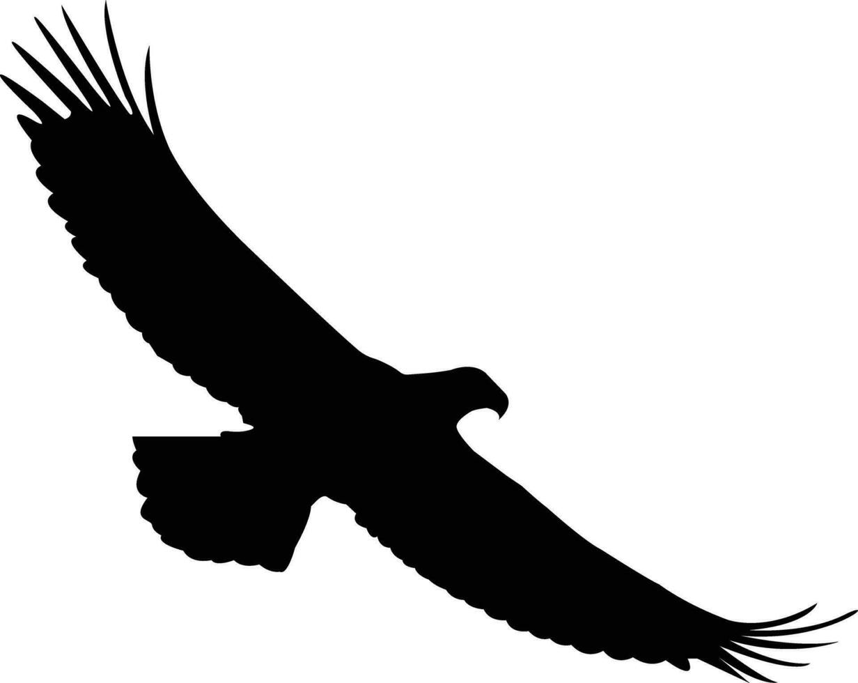 eagle silhouette, flying bird silhouette vector