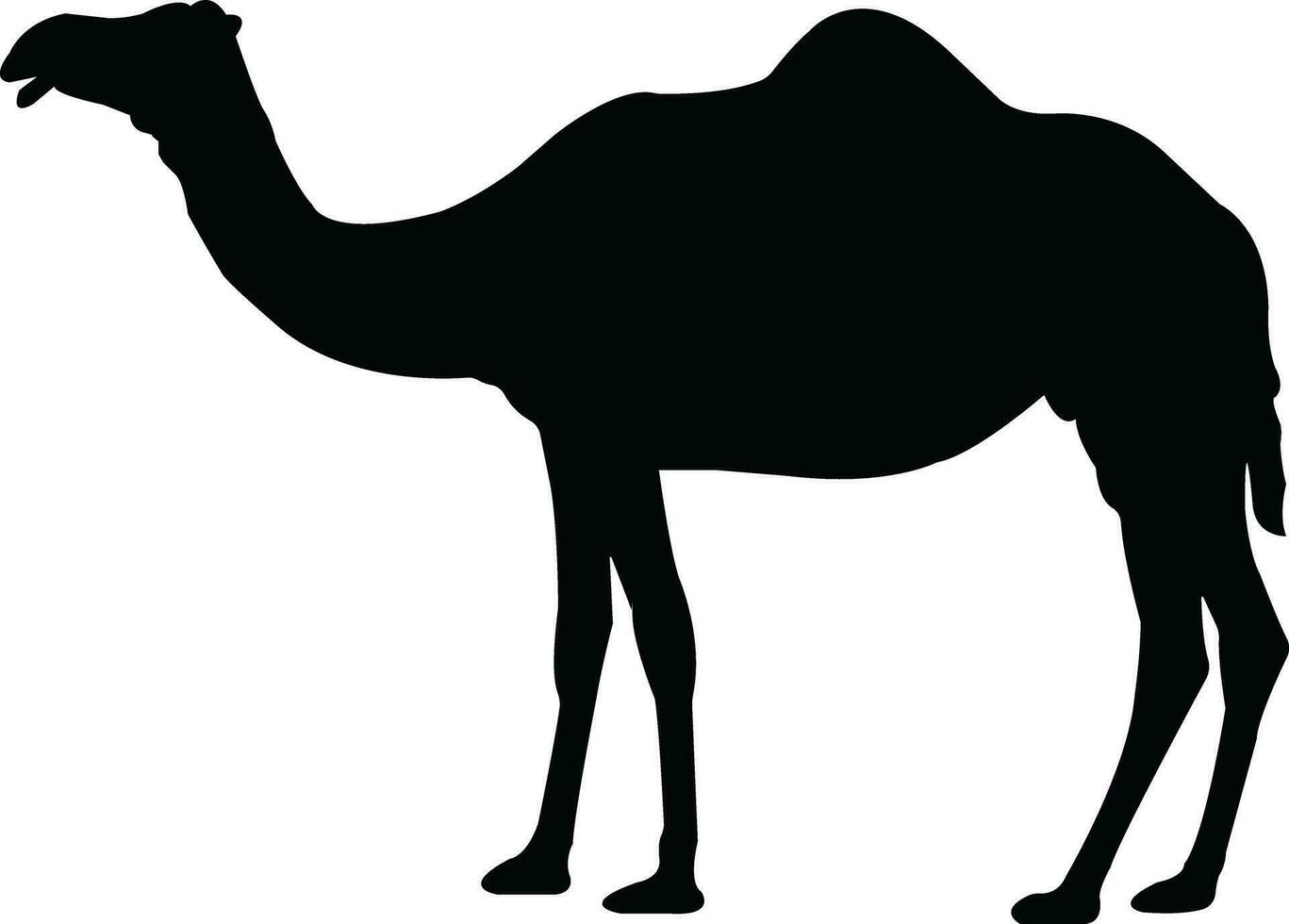 Black Camel Illustration Animal Logo Silhouette vector