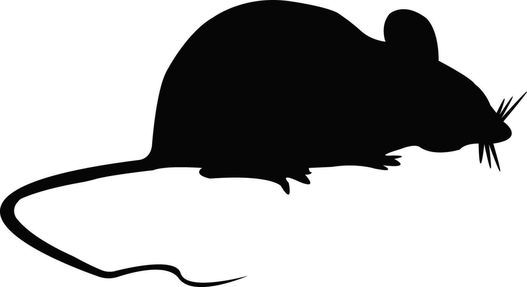 Vector image of a silhouette of a rat on a white background, mouse icon
