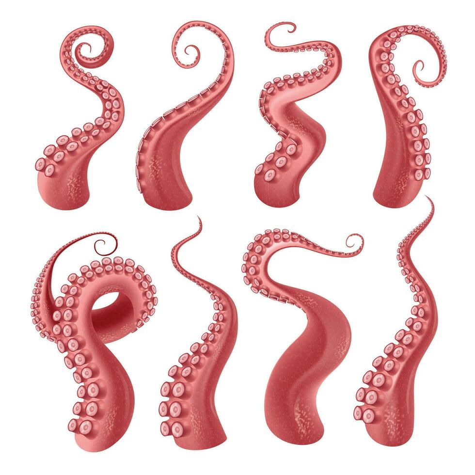 Octopus Tentacles Realistic Set vector