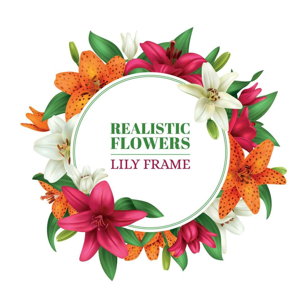 Realistic Lily Frame vector