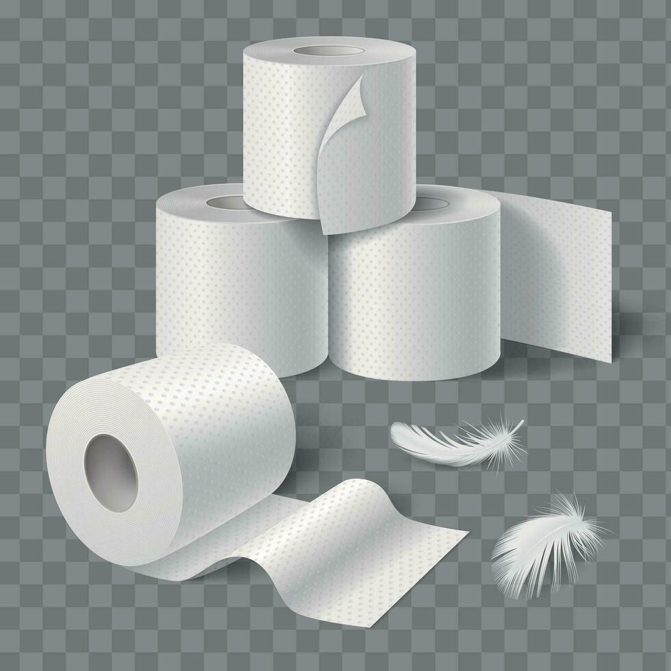 baño papel rollos composición vector