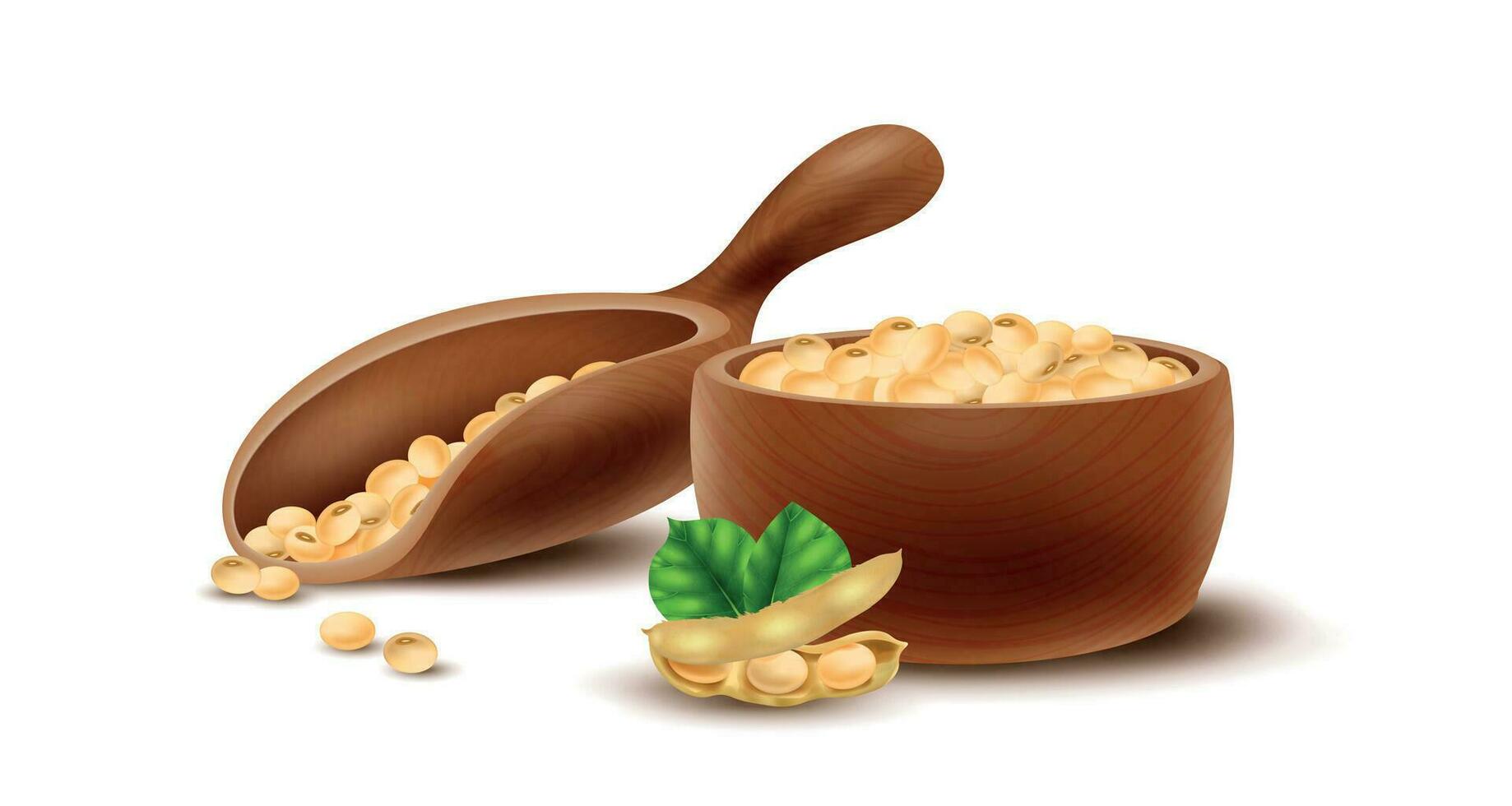 Realistic Soybean Composition vector