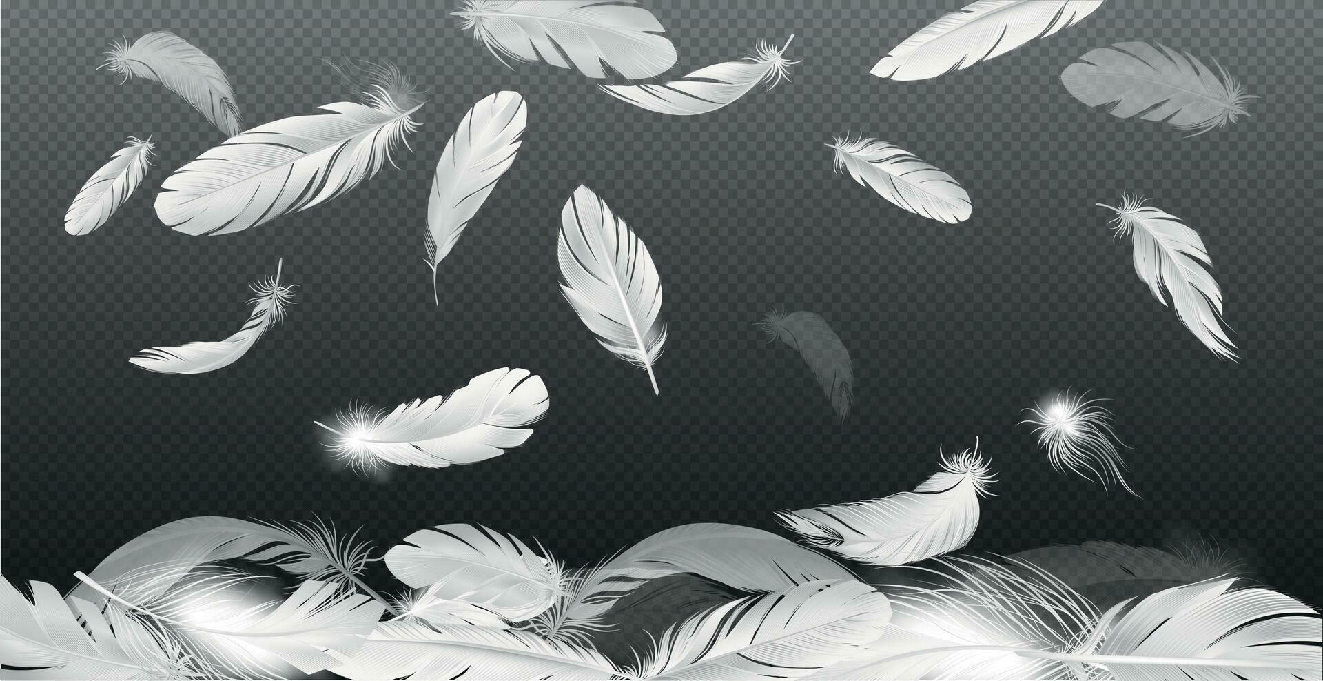 Realistic Falling Feathers Composition 28571452 Vector Art at Vecteezy
