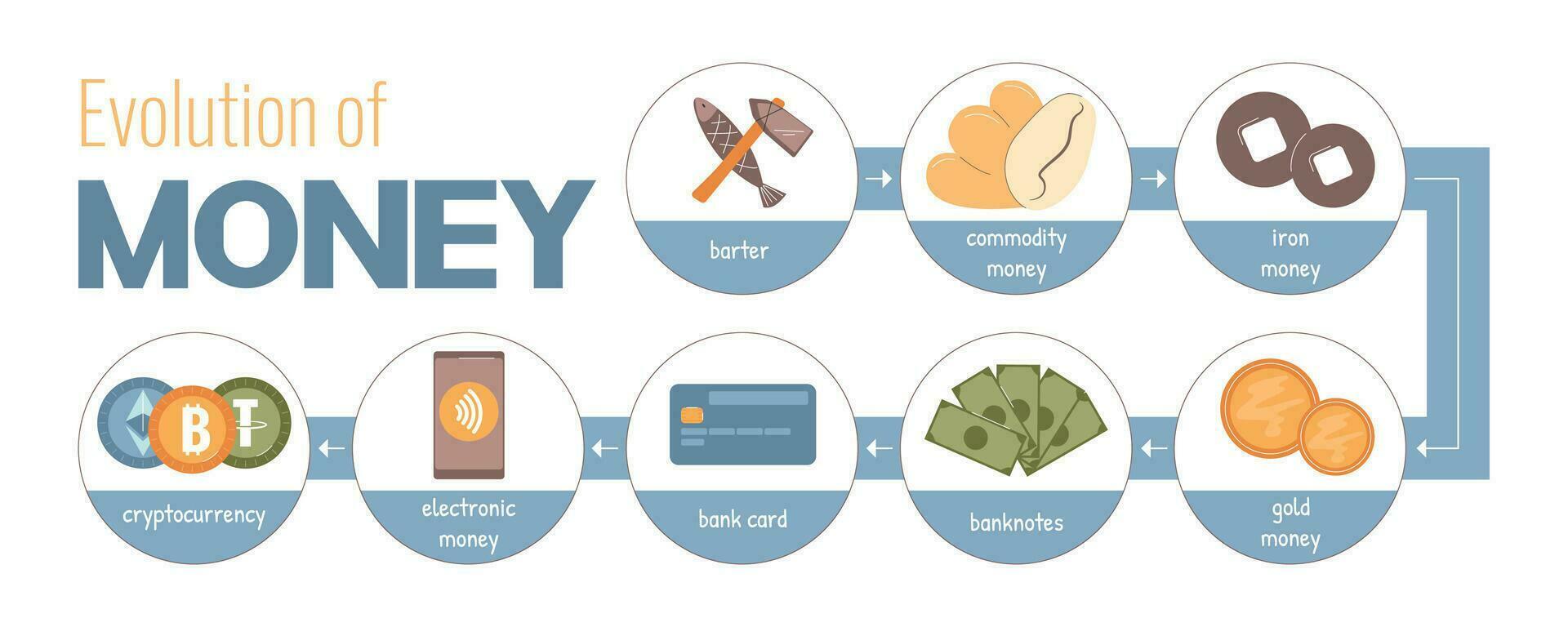 Money Evolution Flat vector