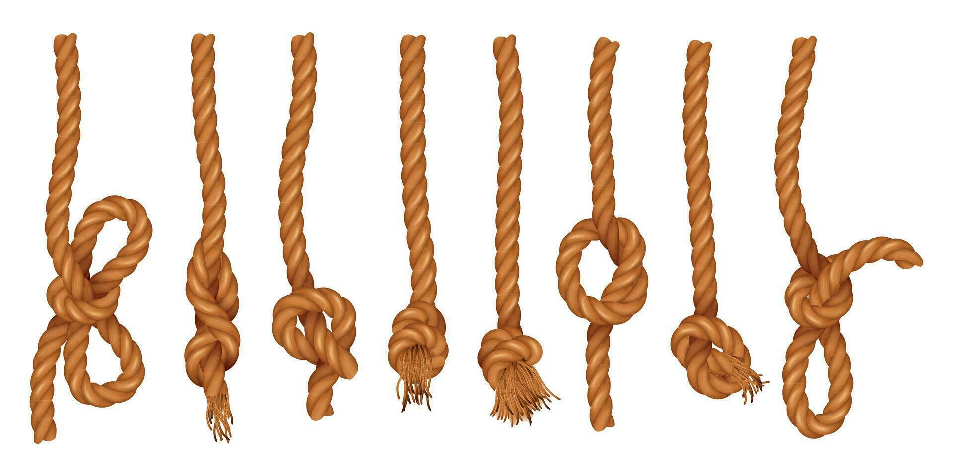 Ropes With Knot Realistic Set vector