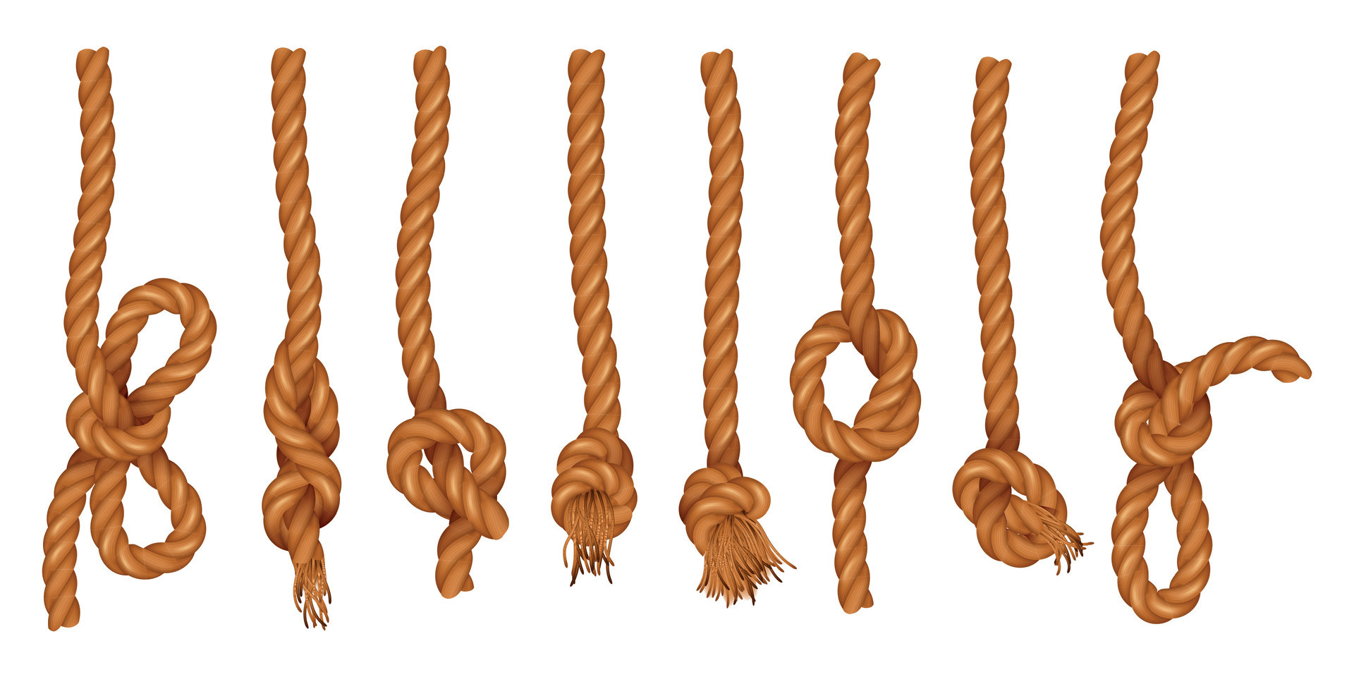 Ropes With Knot Realistic Set 28571626 Vector Art at Vecteezy