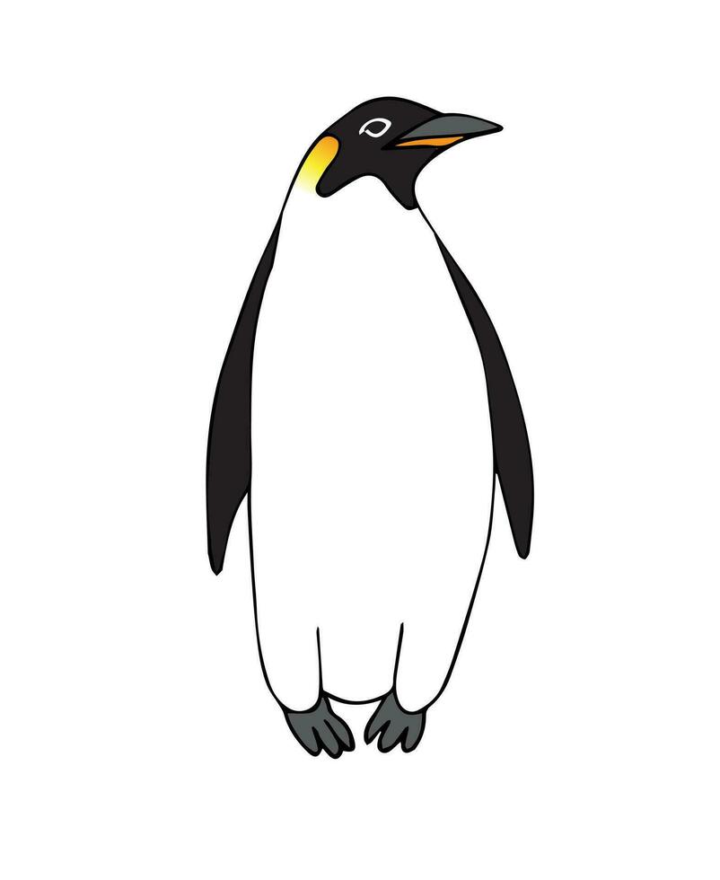 Vector hand drawn flat emperor penguin