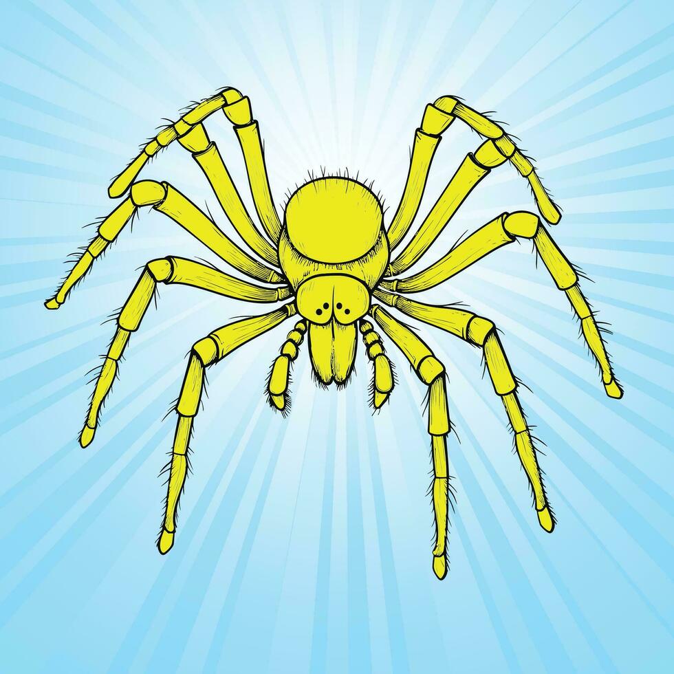 Yellow Spider with Long Legs on Light Blue Background vector