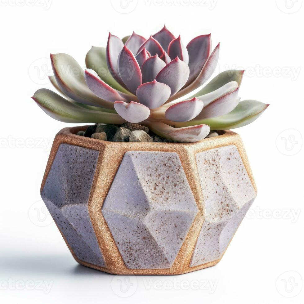 Graptoveria in a terracotta hexagonal pot with a speckled pattern in shades of purple AI Generated photo