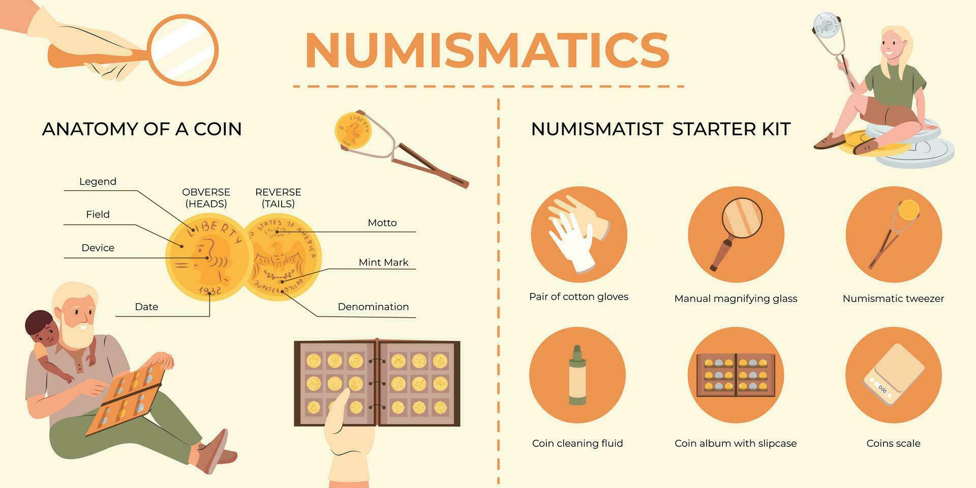 Numismatics Flat Infographic vector
