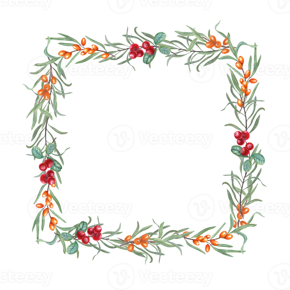 Watercolor rectangle frame of sea buckthorn, cowberries. Beautiful combination of red berries, green leaves and brown star anise. Christmas, New Year cards png