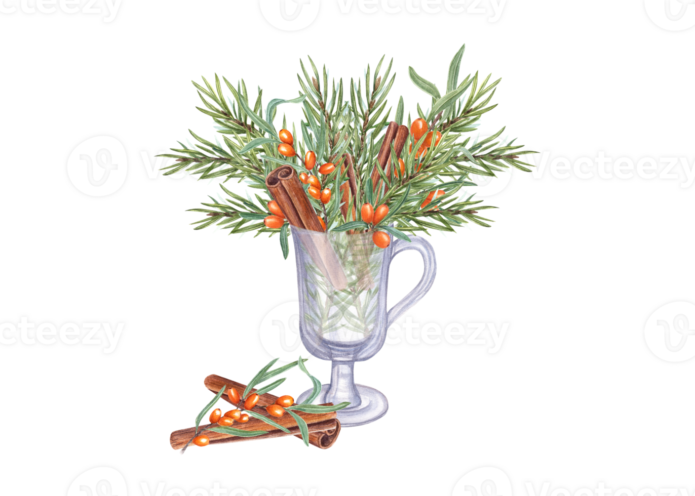 Bouquet of Spruce twigs, Sea Buckthorn branch, Cinnamons sticks in transparent glass. Christmas and New year theme. Watercolor composition for Xmas, New Year cards, greetings png