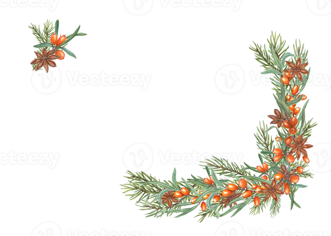 Watercolor frame of Christmas tree branch, sea buckthorn, star anise. Illustration for postcard design, invitation template, greetings, Christmas and New Year cards png