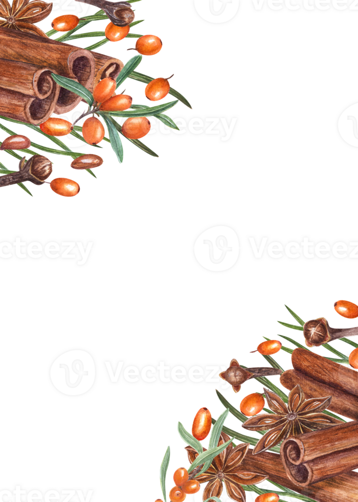 vattenfärg ram av kanel, stjärna anis, hav brakved, tall nålar, kryddnejlika. skön illustration av orange bär och brun kryddor för jul och ny år dekoration png