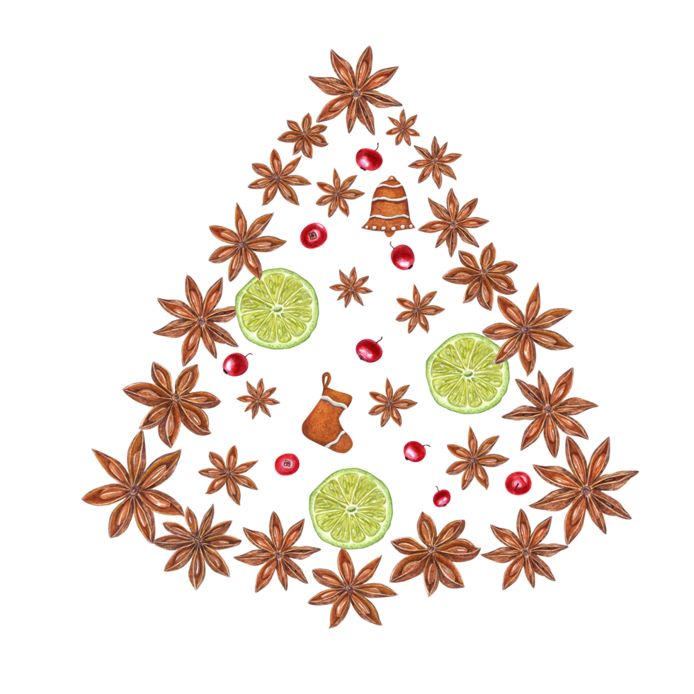Watercolor illustration of Christmas tree figure composed of Star Anise, Lime slices, Cranberry and Gingerbread Cookie. Set for the design of greetings, cards, package png