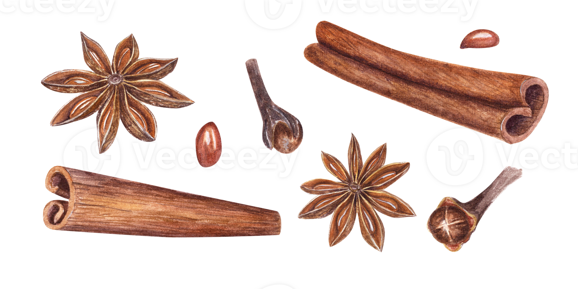 Watercolor set of cinnamons, star anise and cloves. Botanical illustration for Christmas and New Year cards, book design, greetings, stickers, patterns png