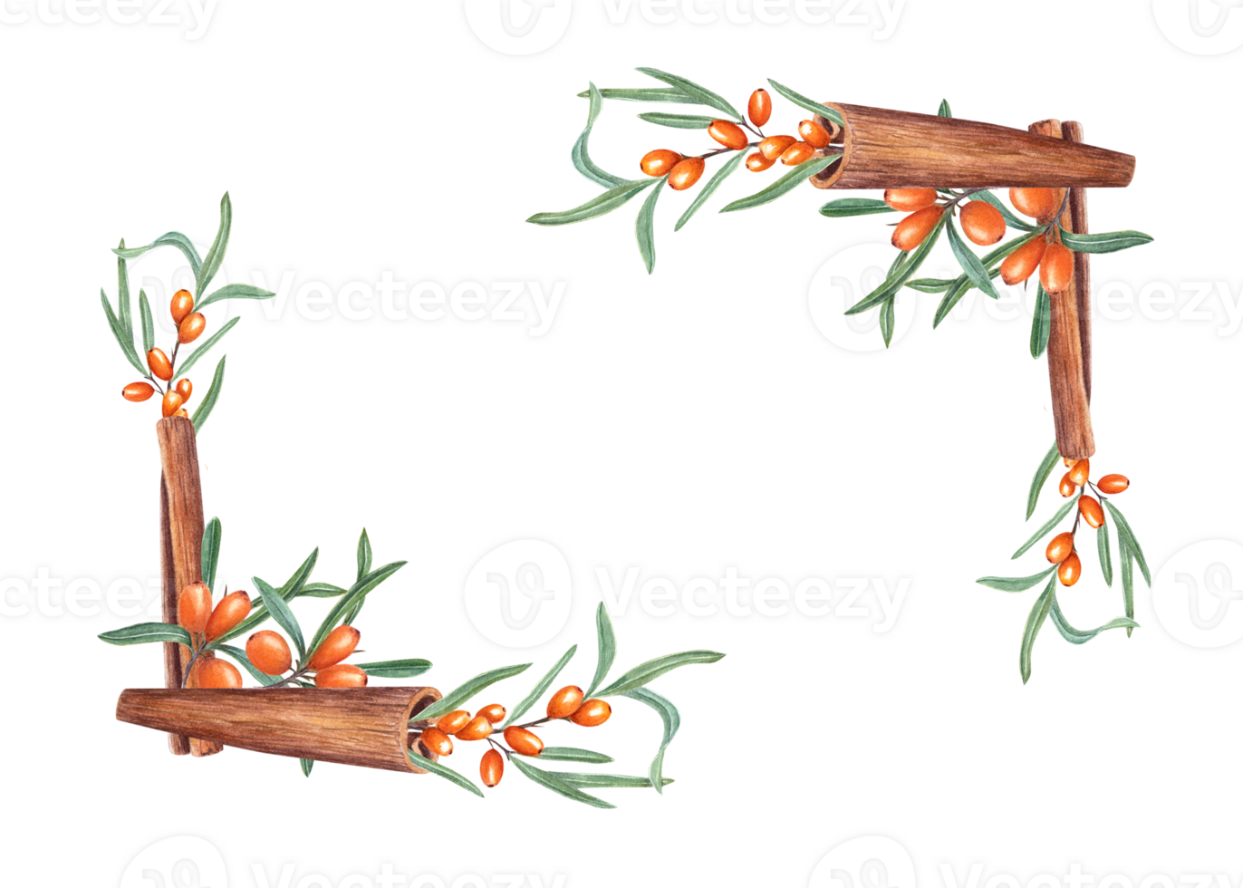 waterverf rechthoek kader met takken van zee duindoorn, kaneel. hand- getrokken illustratie kruid en oranje bessen. voor hartelijk groeten, uitnodigingen. Kerstmis stijl. png