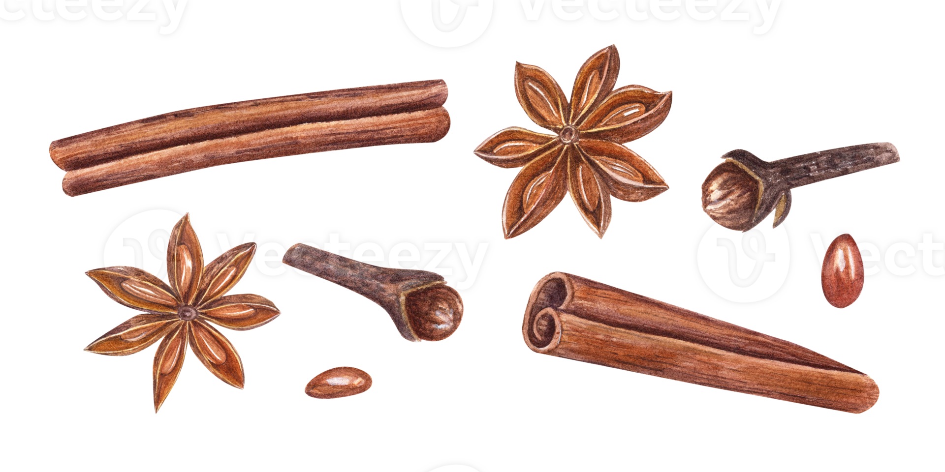 Watercolor set of cinnamons, star anise and cloves. Fragrant spices for tea, masala, mulled wine. Botanical illustration for Christmas and New Year cards, spice shops png