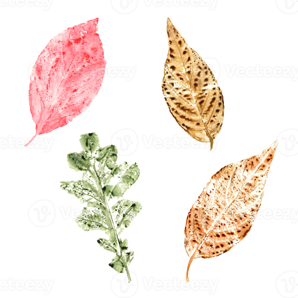 Imprints of autumn leaves in green, yellow, pink colors. Set of fall dry leaves. Watercolor illustration of colorful leaf forms for posters, texture, frame, cards png